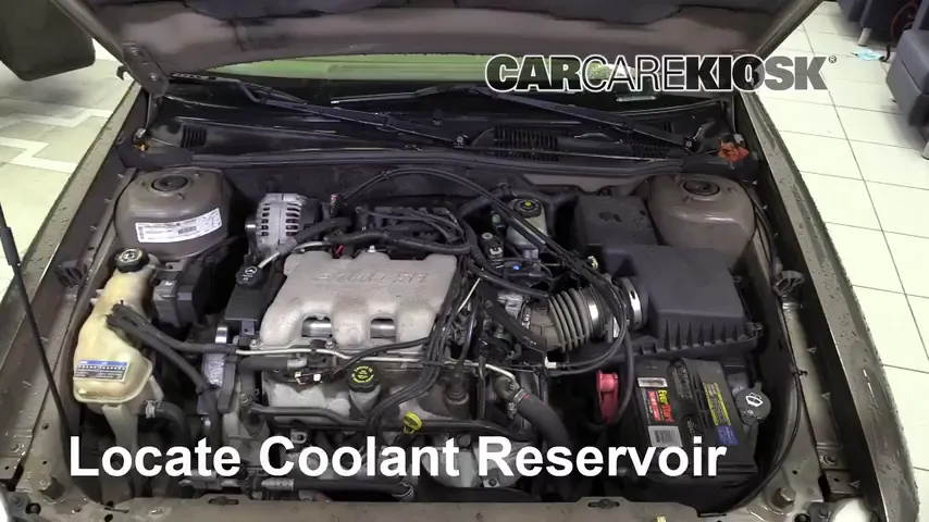 2002 Chevrolet Malibu LS 3.1L V6 Coolant (Antifreeze)